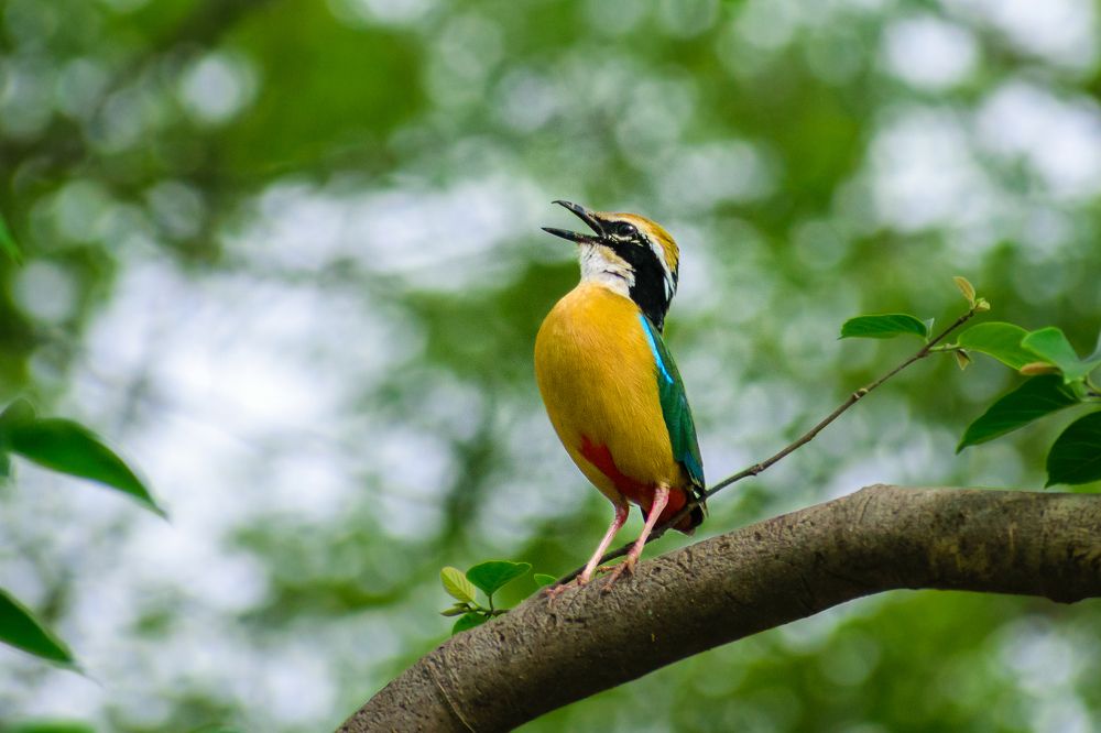 Photograph by Gaurav Kumar