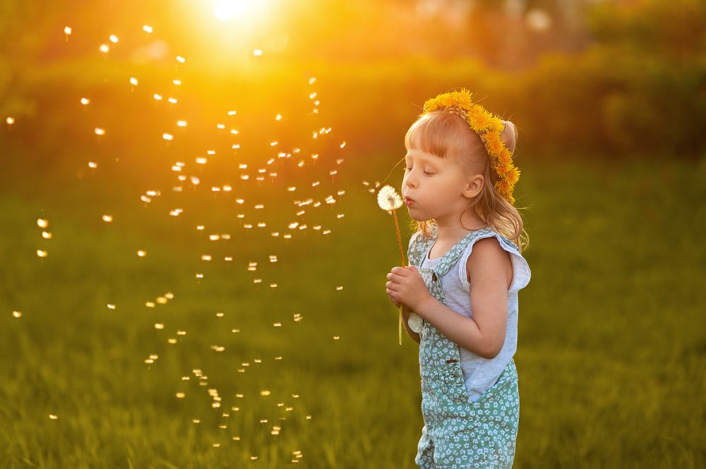 Фотография автора Елена Рогатнева