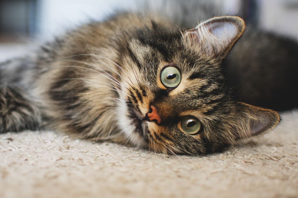 Photograph by Анна Фольмер