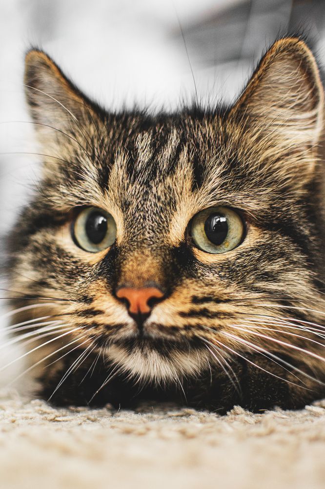 Photograph by Анна Фольмер