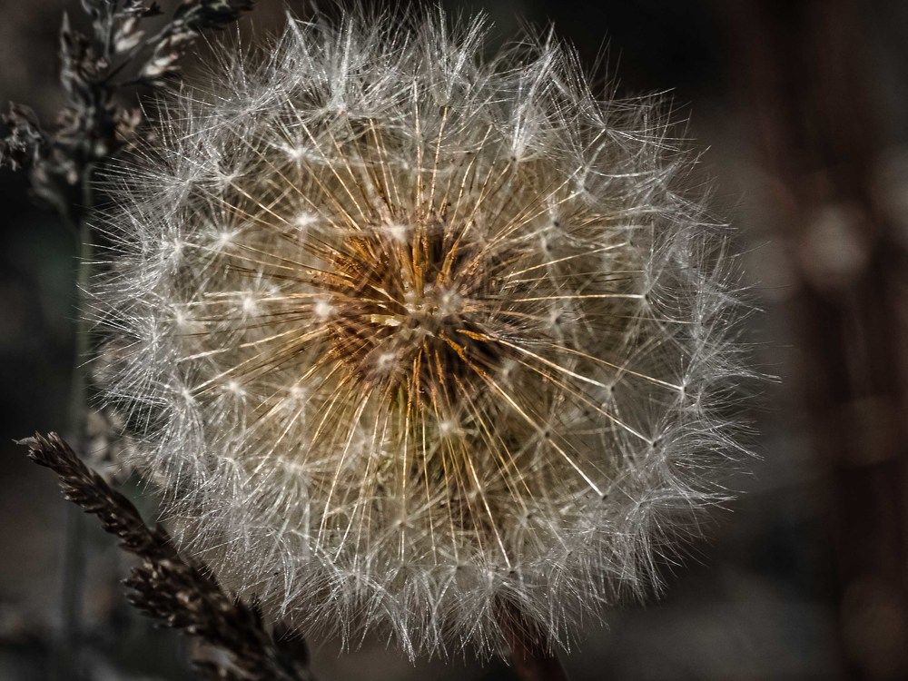 Photograph by mikhail goryachev