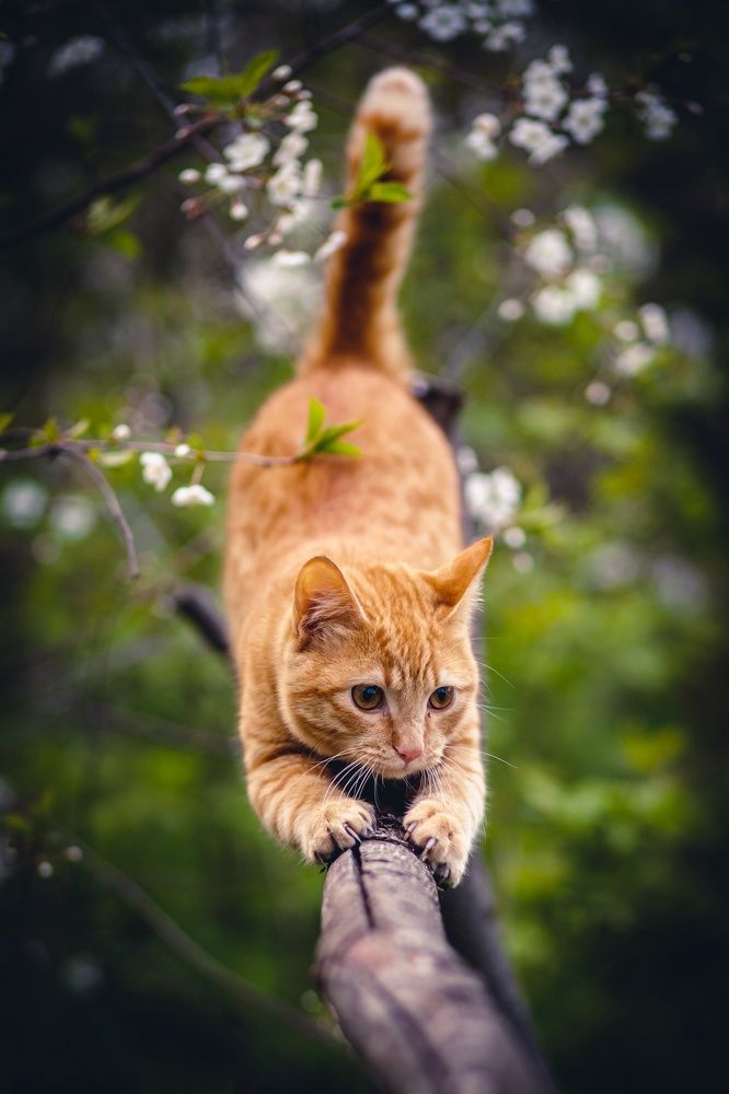 Photograph by Сергей Быков