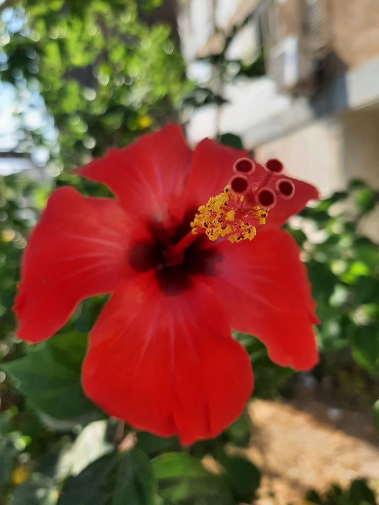 Photograph by virgilija61 Motejunaite