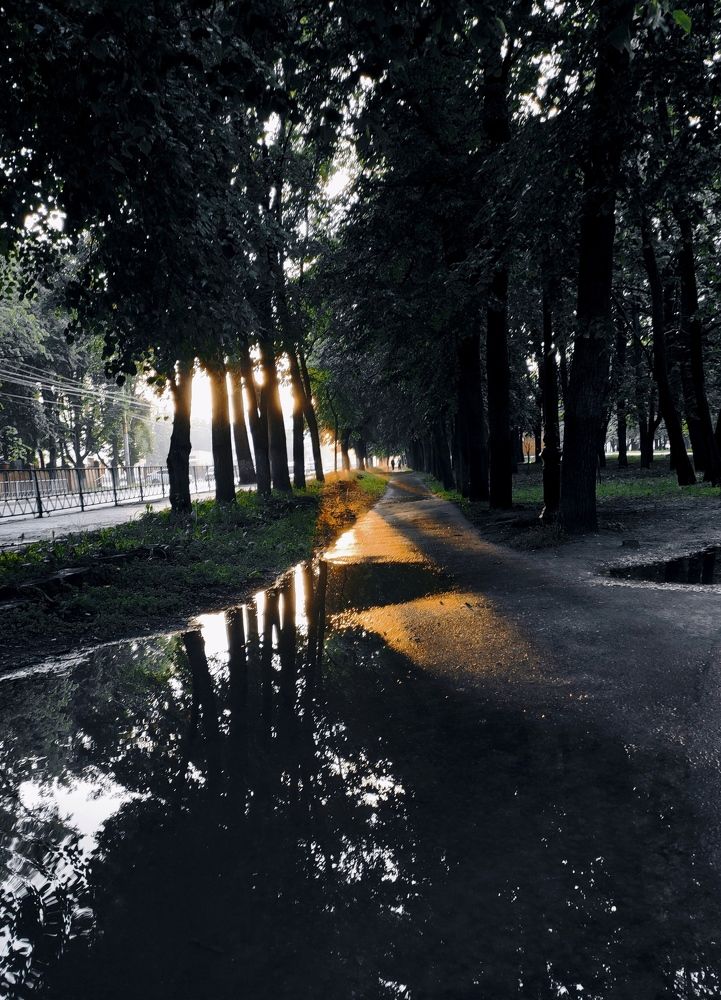 Photograph by Сидорова Ирина