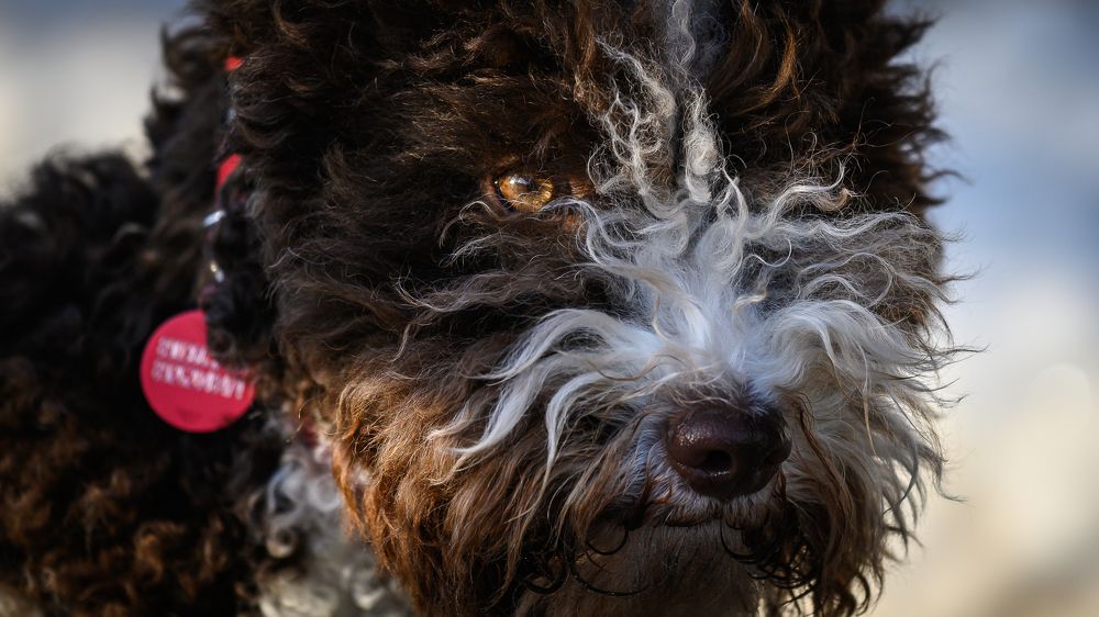 Photograph by Dmitry Ishniyazov