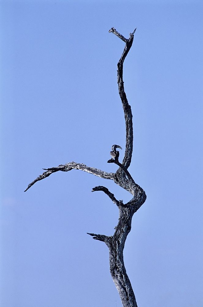 Photograph by Михаил Копанс