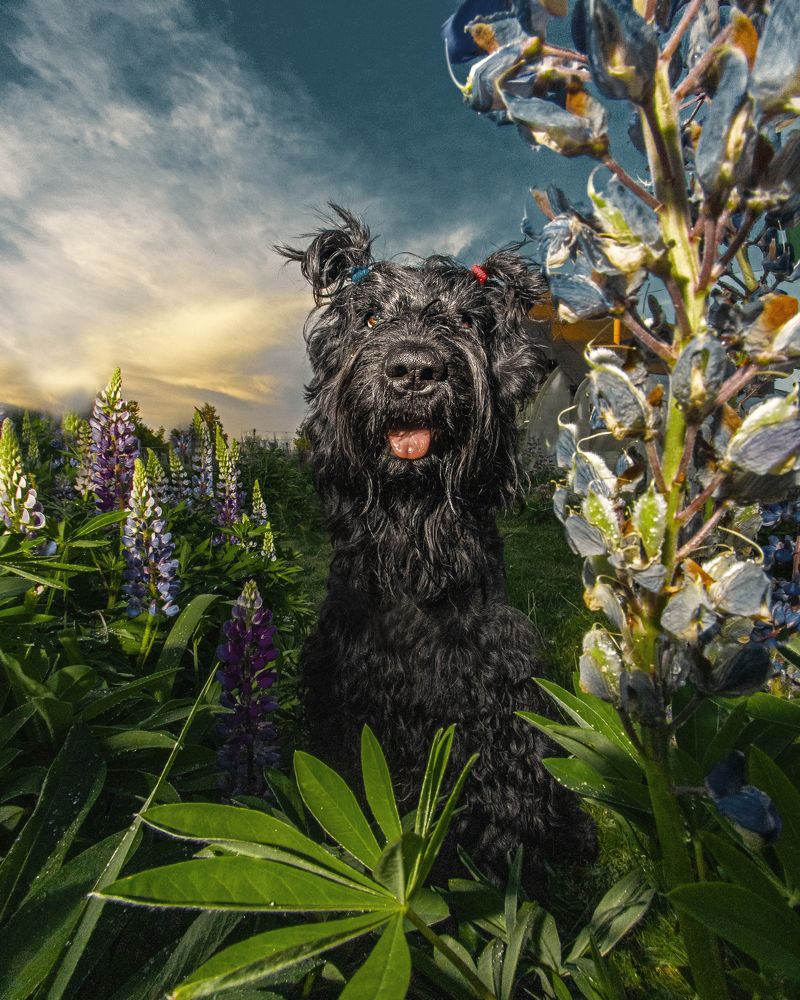 Photograph by Юлия Прозорова