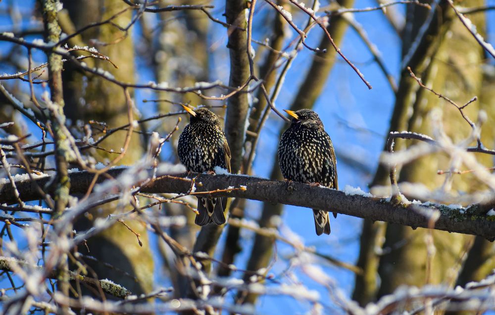 Photograph by Margarita