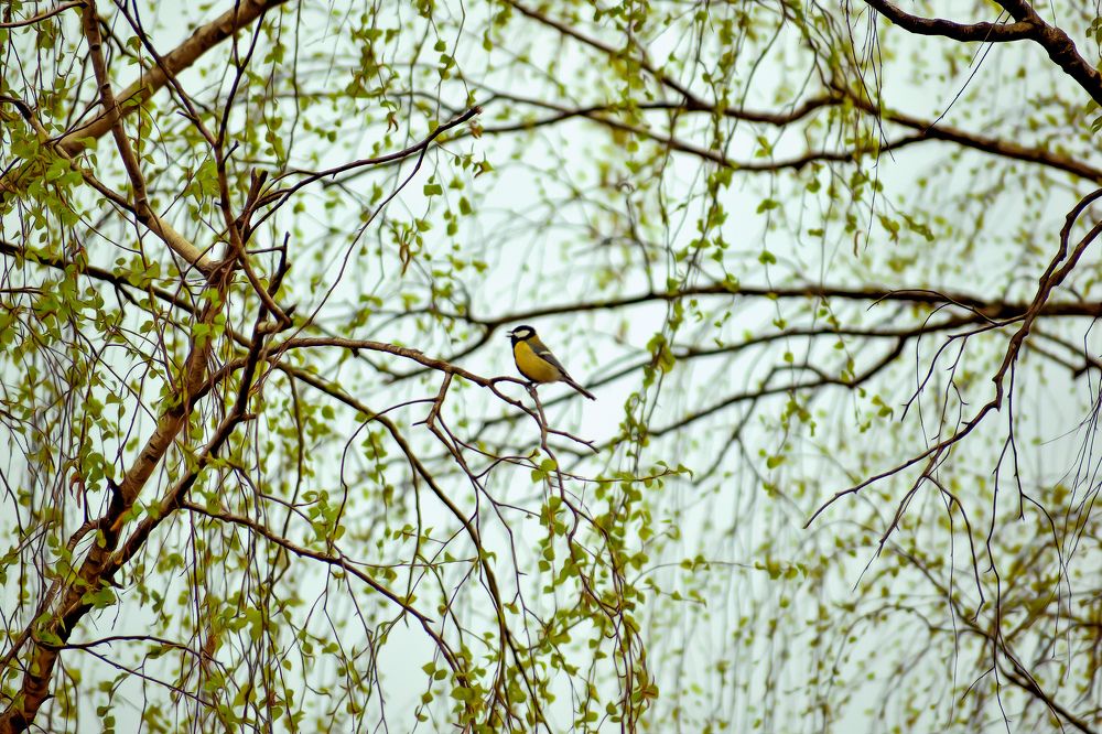 Photograph by Margarita