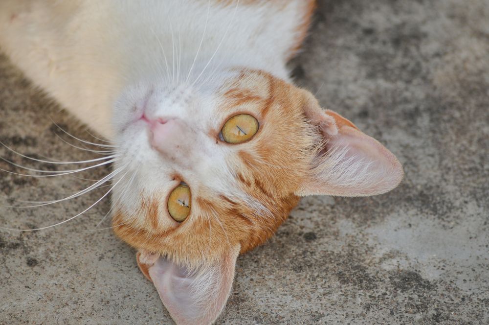 Photograph by Oxana Ukhlina