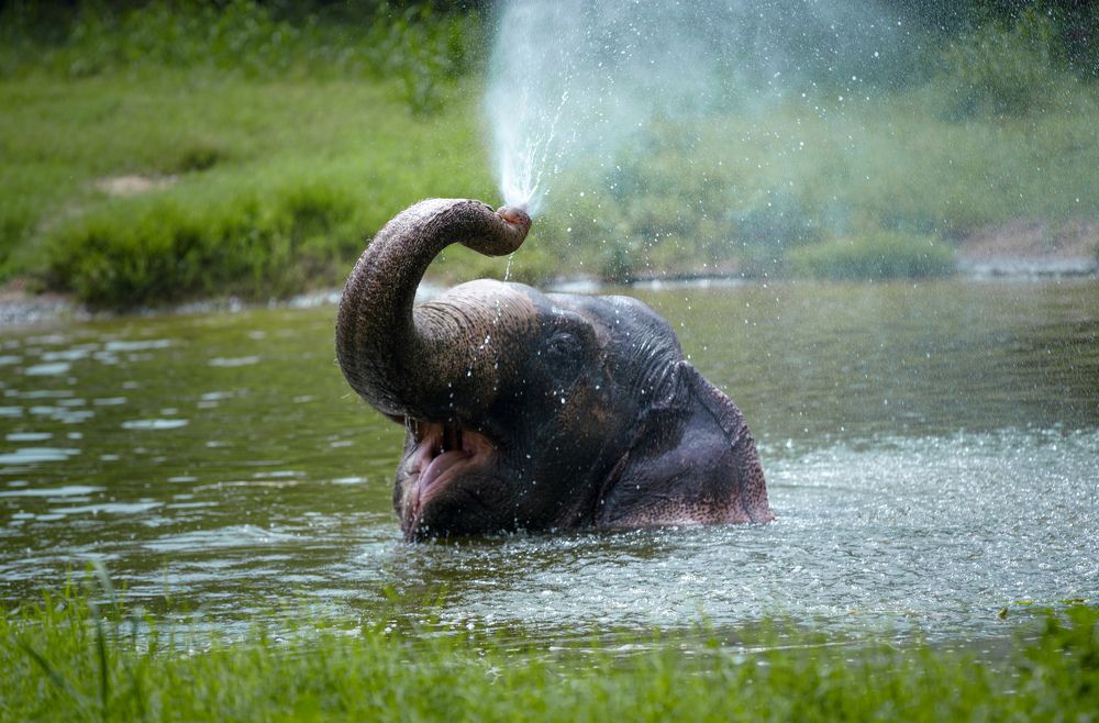 Photograph by Saurabh