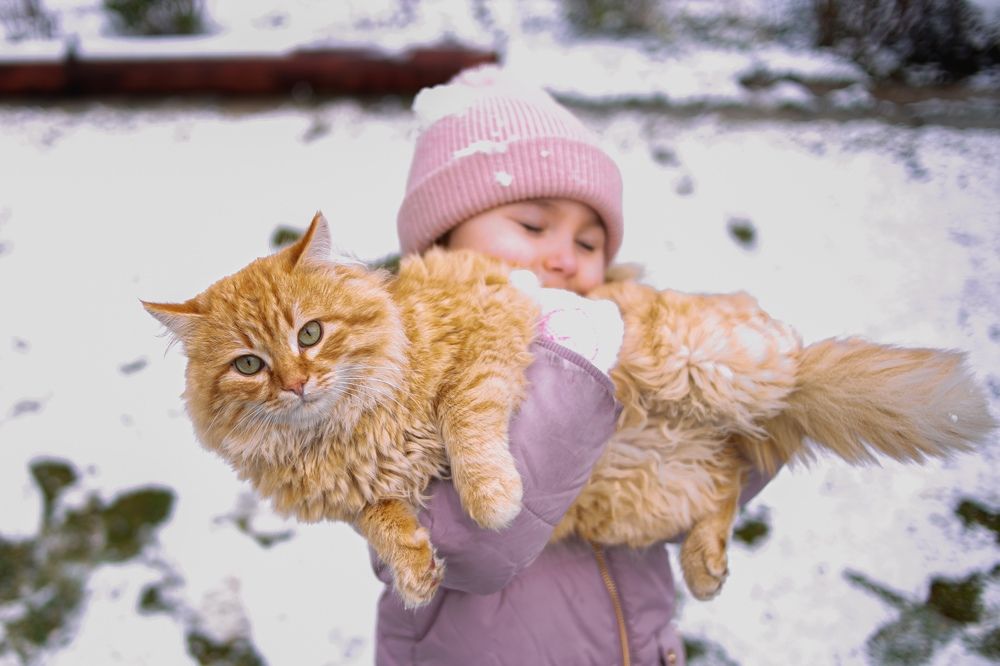 Фотография автора Юлия Трубанова