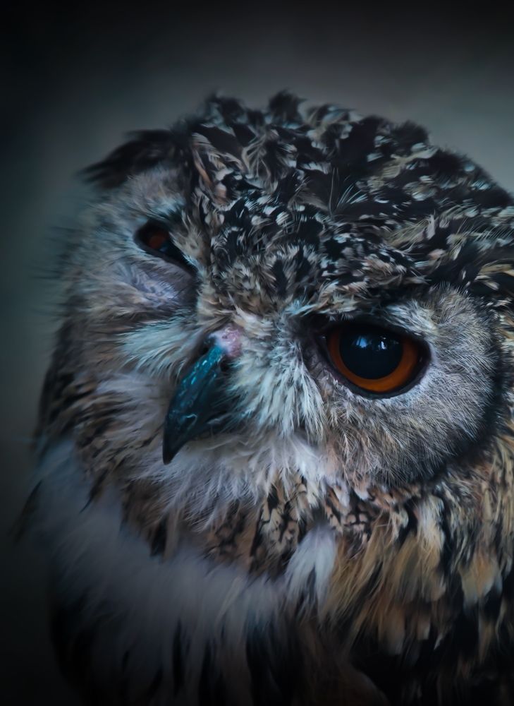 Photograph by Saurabh