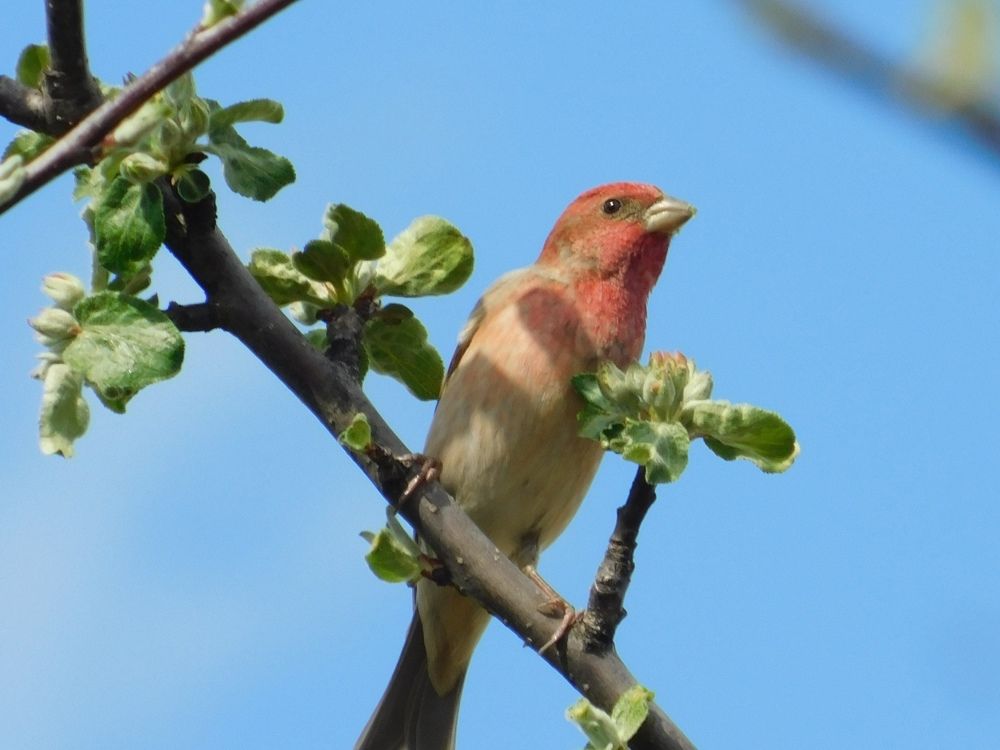 Photograph by Татьяна