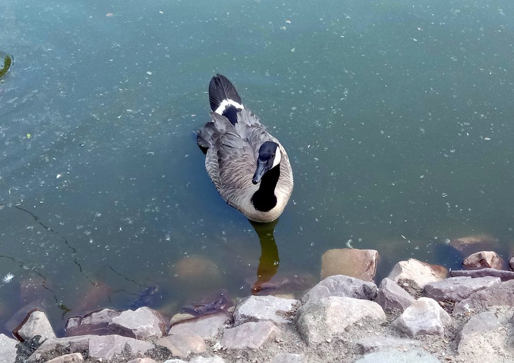 Photograph by Глеб Кузьминых