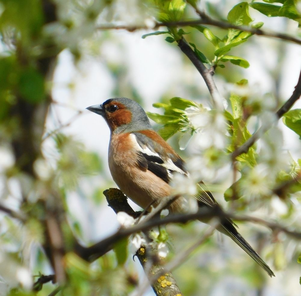 Photograph by Татьяна