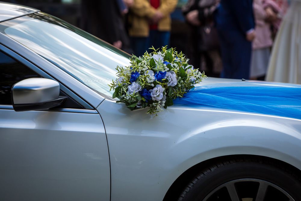 Фотография автора Михаил Бове