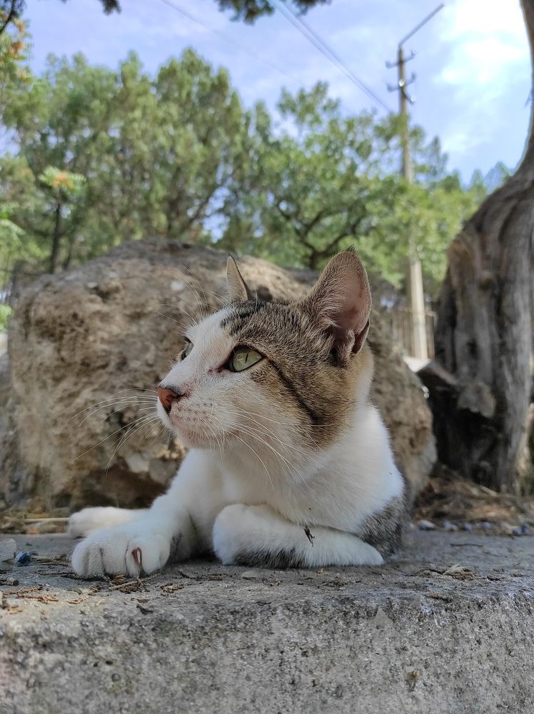 Фотография автора Таисия