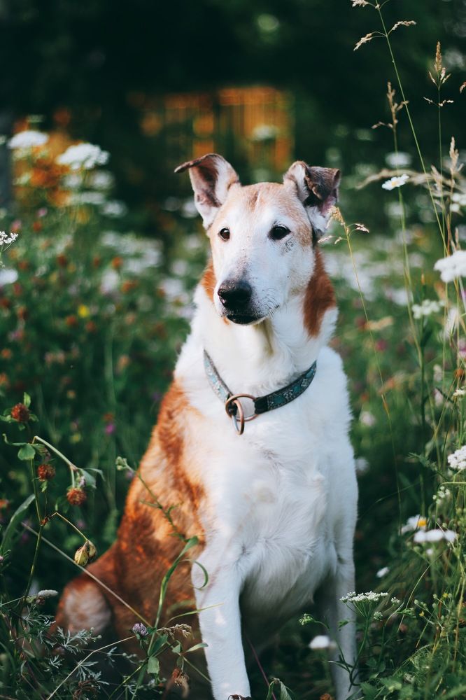 Photograph by Виктория Маркова