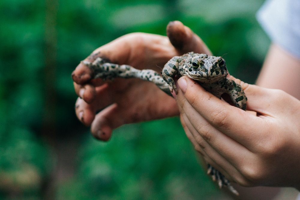 Фотография автора Юлия Трубанова