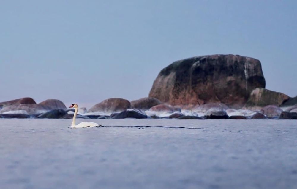 Photograph by Кения Тодорец