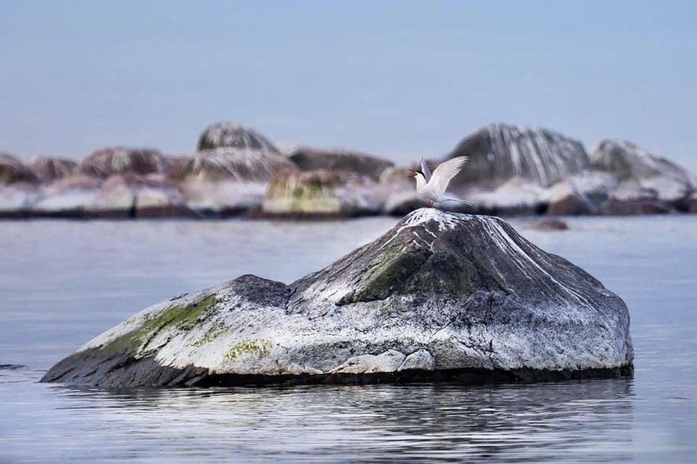 Photograph by Кения Тодорец