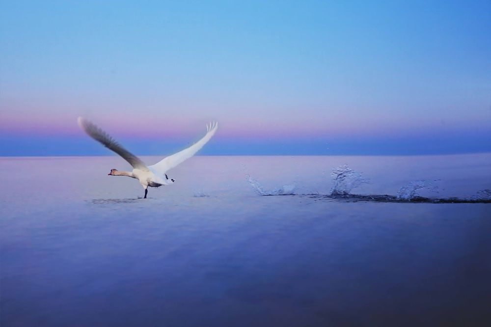 Photograph by Кения Тодорец