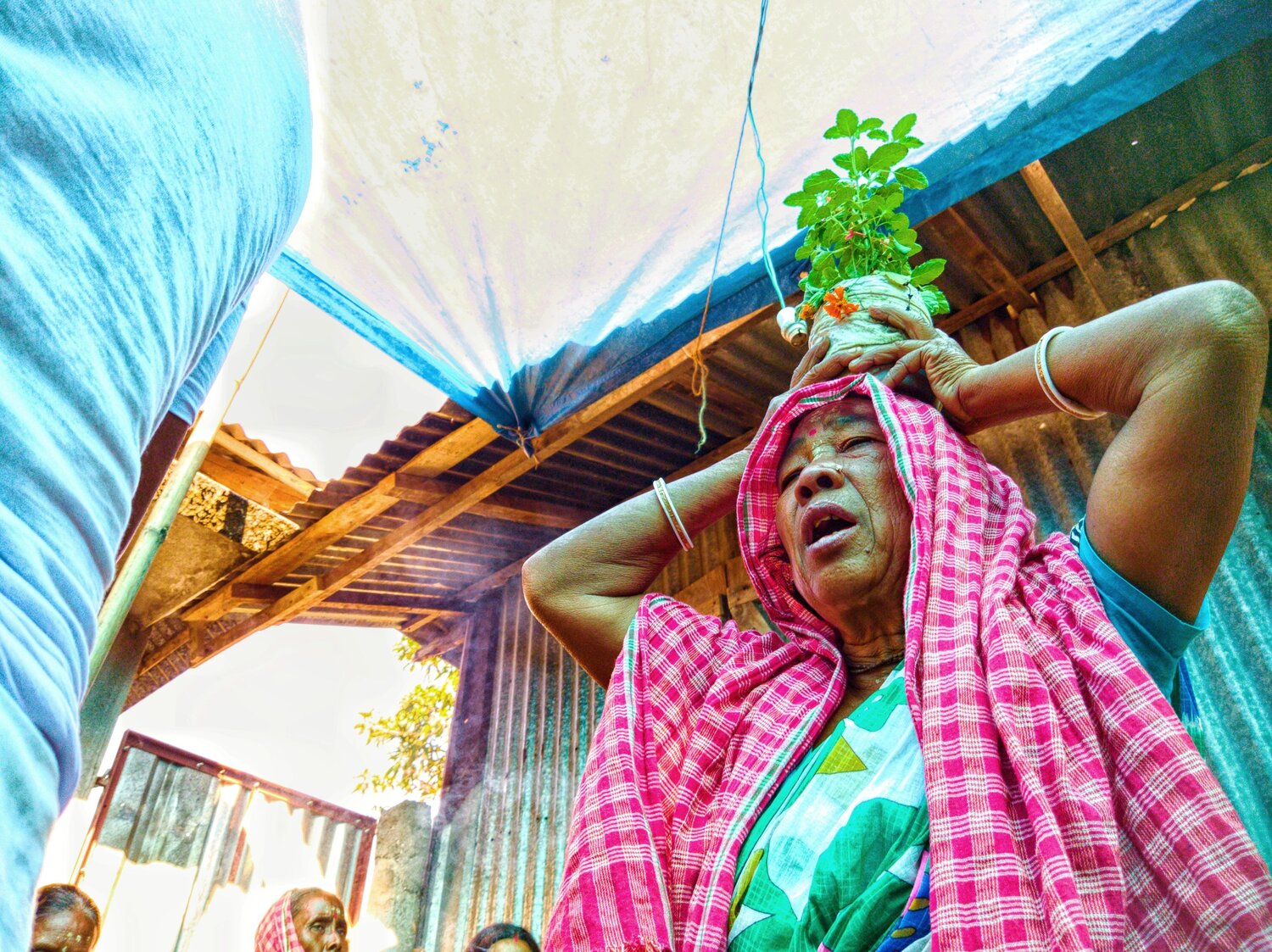 Tulsi Parikrama