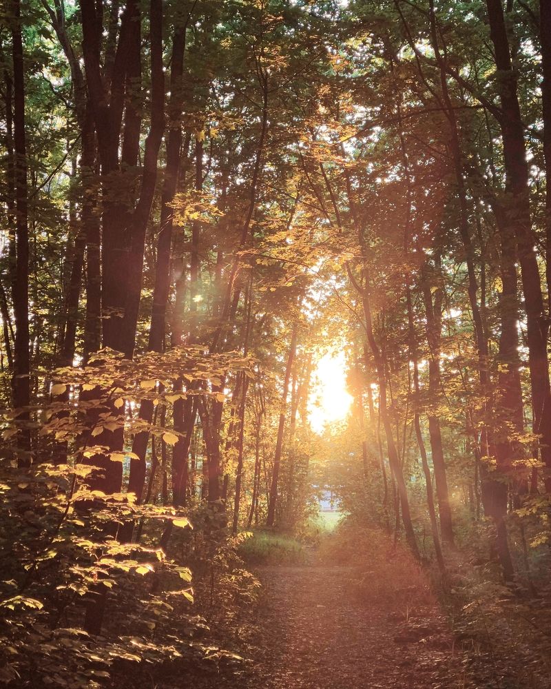 Photograph by Юлия Плаксина