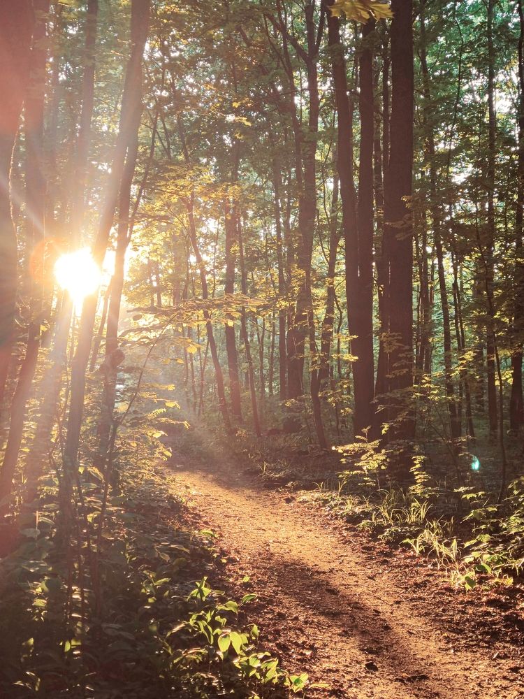 Photograph by Юлия Плаксина