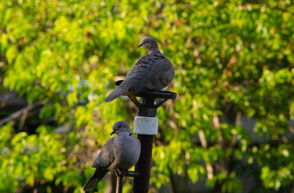 Photograph by Редько Александр