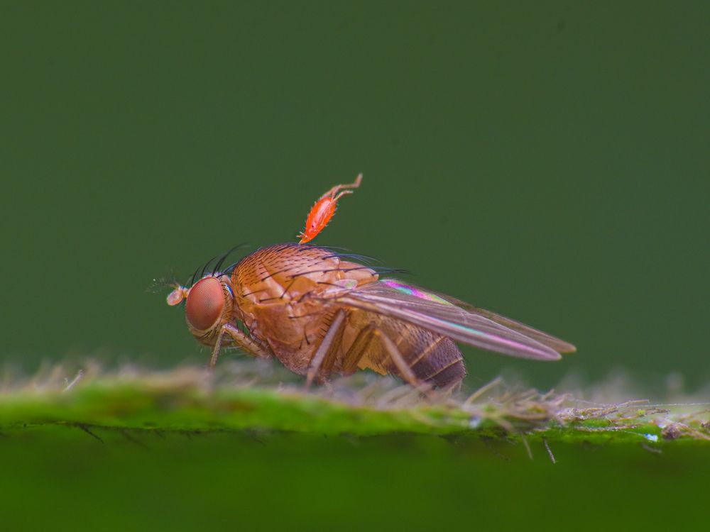Photograph by MALLIKARJUN Manjari
