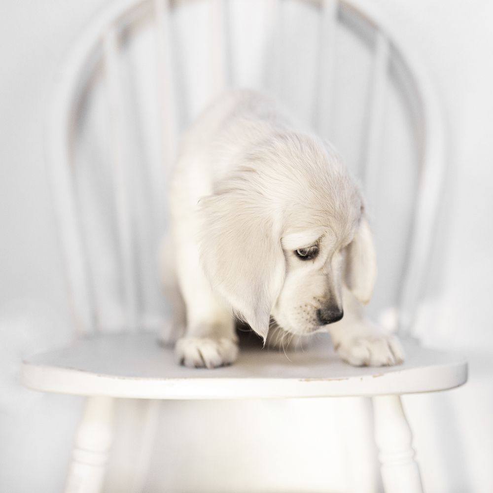 Photograph by Tinoco Erika