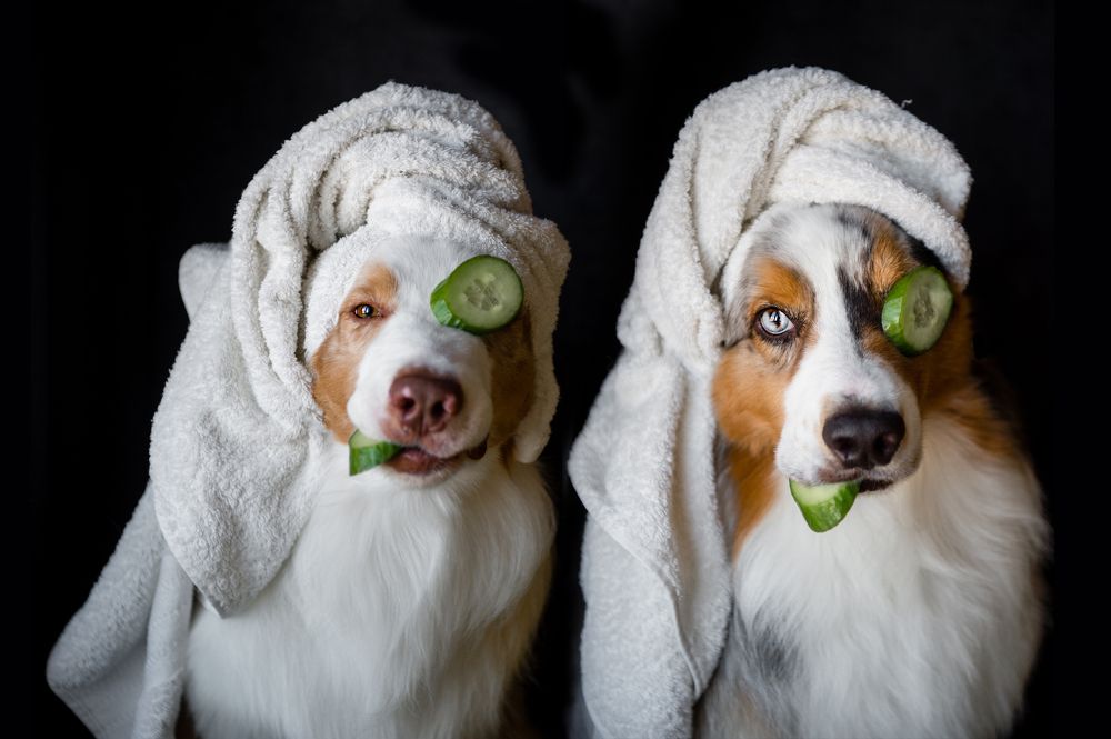 Photograph by Шиянова Ольга