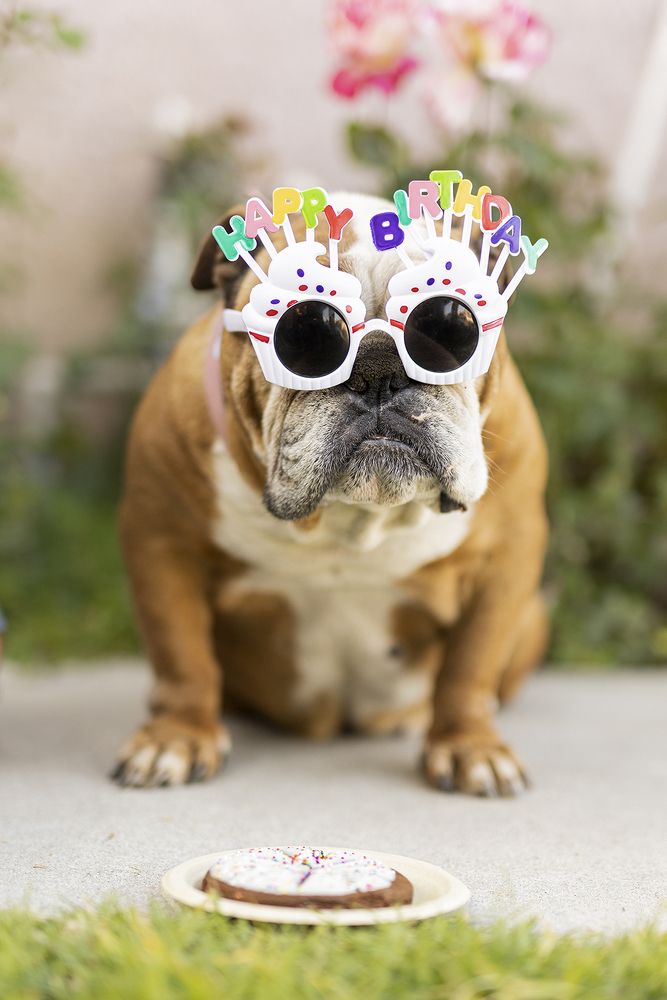 Photograph by Tinoco Erika