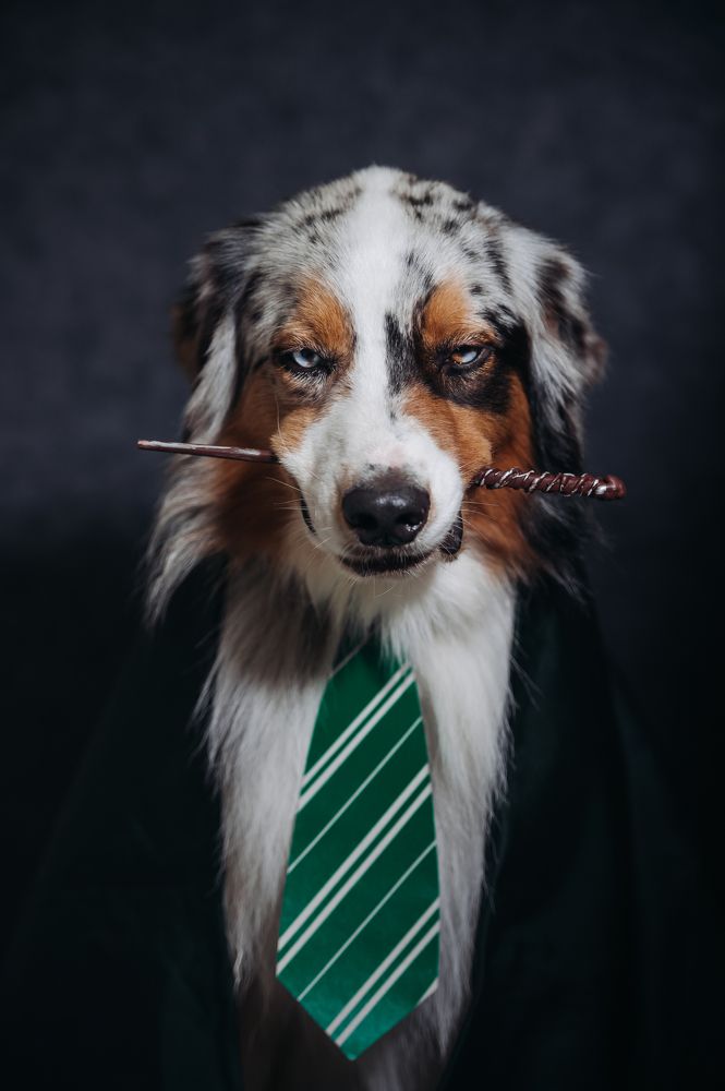 Photograph by Шиянова Ольга