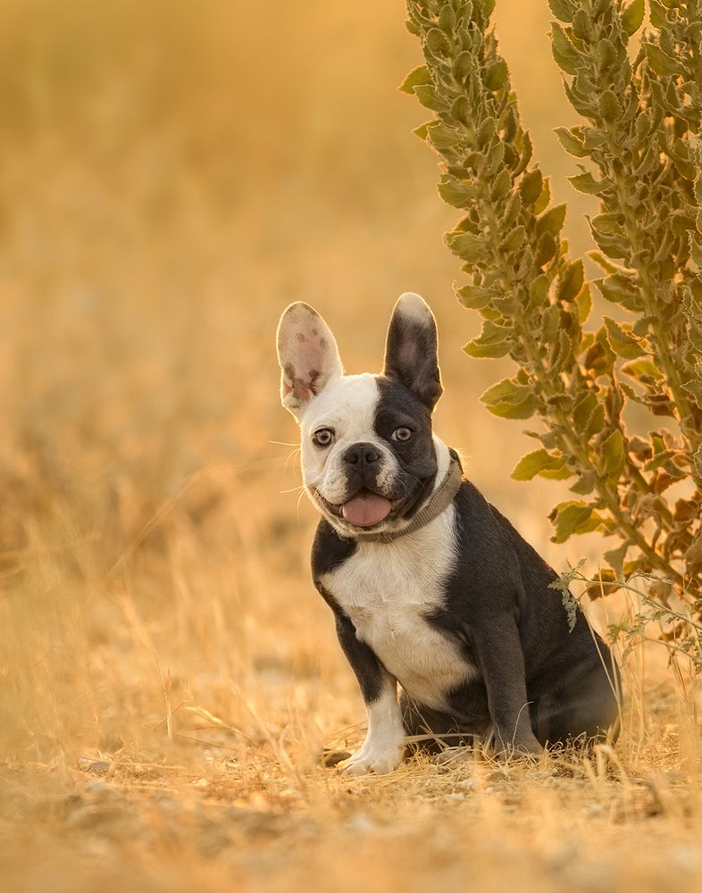 Photograph by Tinoco Erika