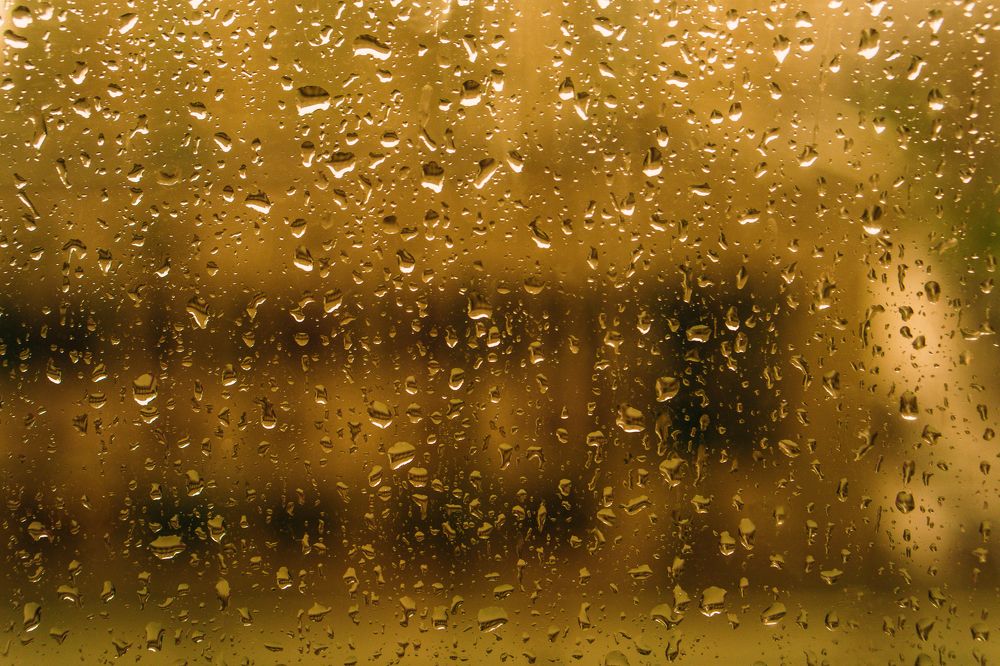 Photograph by Александр Пургин