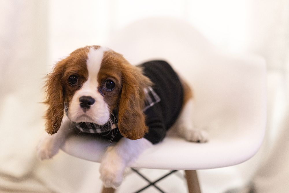 Photograph by Tinoco Erika