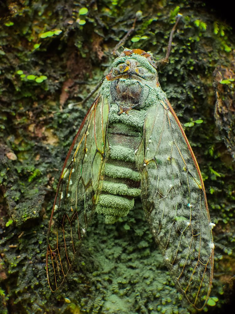Photograph by MALLIKARJUN Manjari