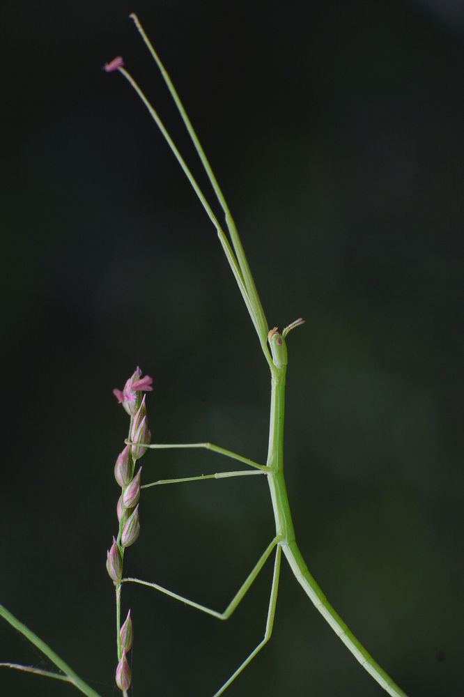 Photograph by MALLIKARJUN Manjari