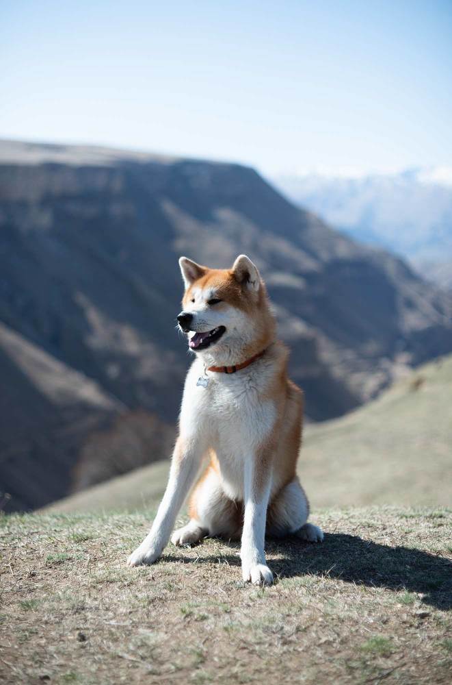 Photograph by Матвей Кармаков