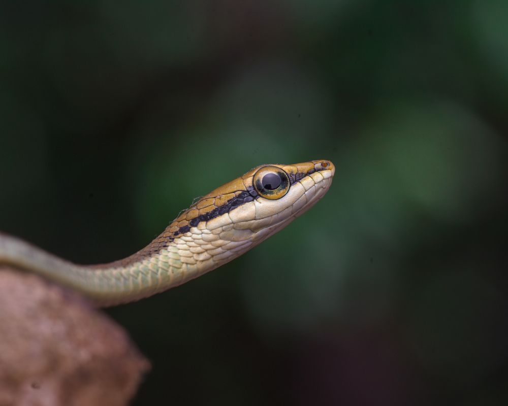 Photograph by MALLIKARJUN Manjari