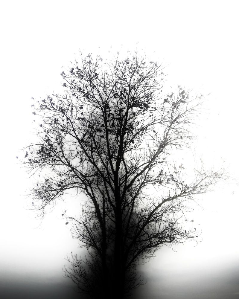 Photograph by Rashmi Ranjan Sahoo