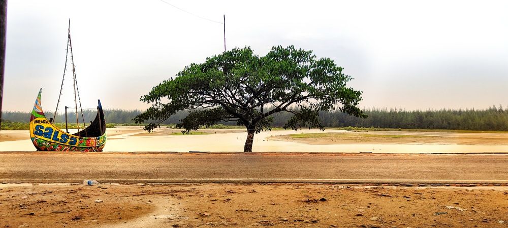 Photograph by kamrul nazim