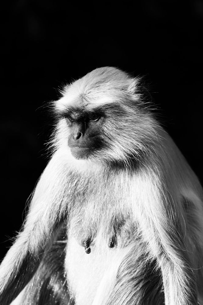 Photograph by Hiral sarthak chandarana