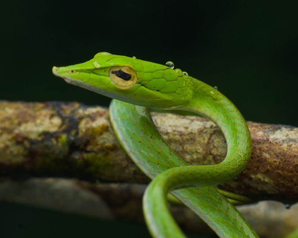 Photograph by MALLIKARJUN Manjari