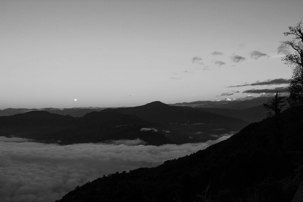 Фотография автора Suman Roy