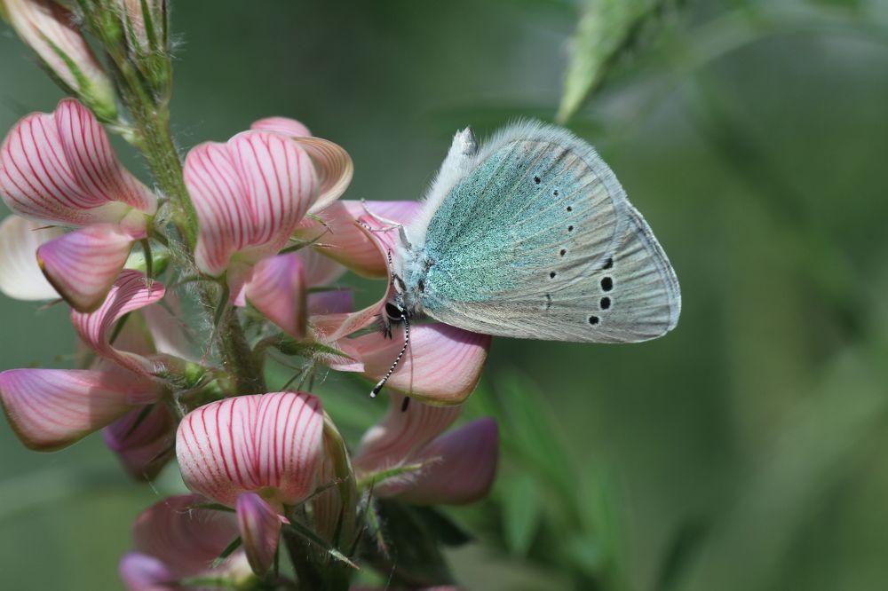 Photograph by Марина Савченко