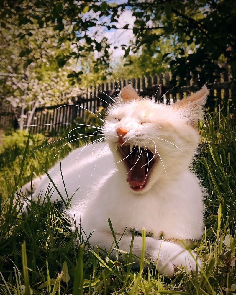 Photograph by Ирина Сыровежкина